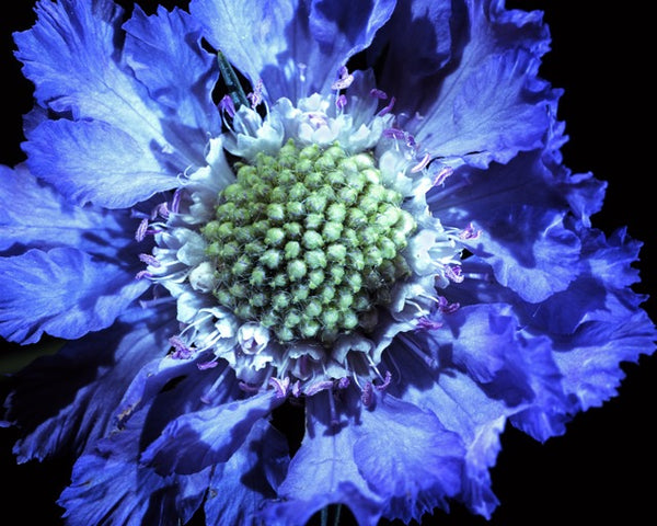 Learn To Process Colour Film